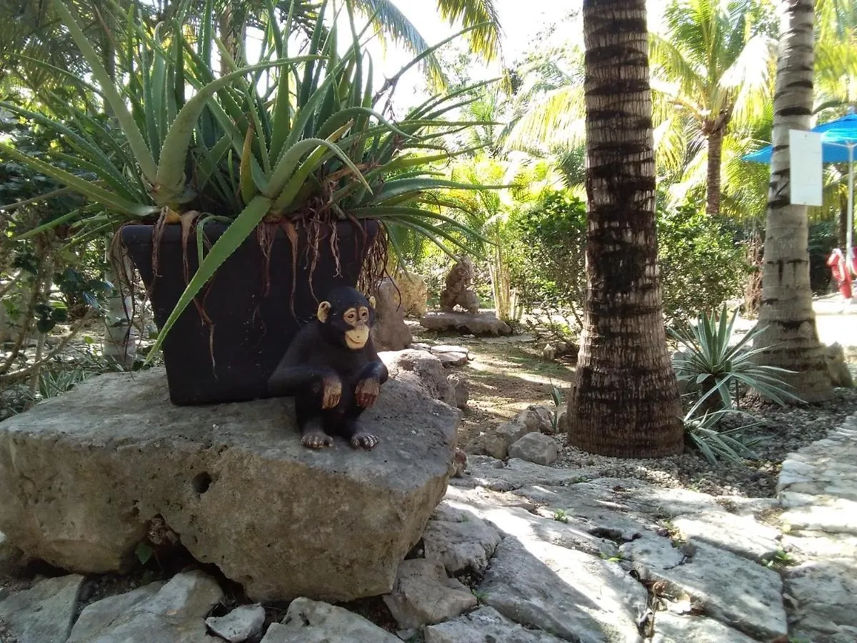 Villa Tortugas Akumal
